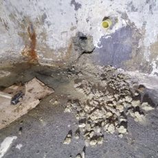 PASO 2:
Reparación de fisuras.